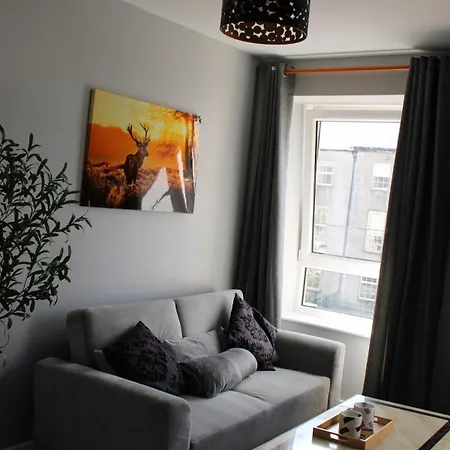 Apartment Stylish In Tralee
